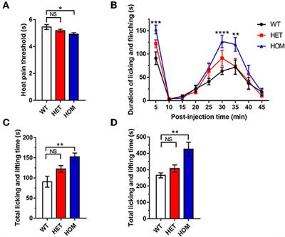 The Gain-of-Function R222S Variant in Scn11a Contributes to Visceral Hyperalgesia and Intestinal Dysmotility in Scn11aR222S/R222S Mice